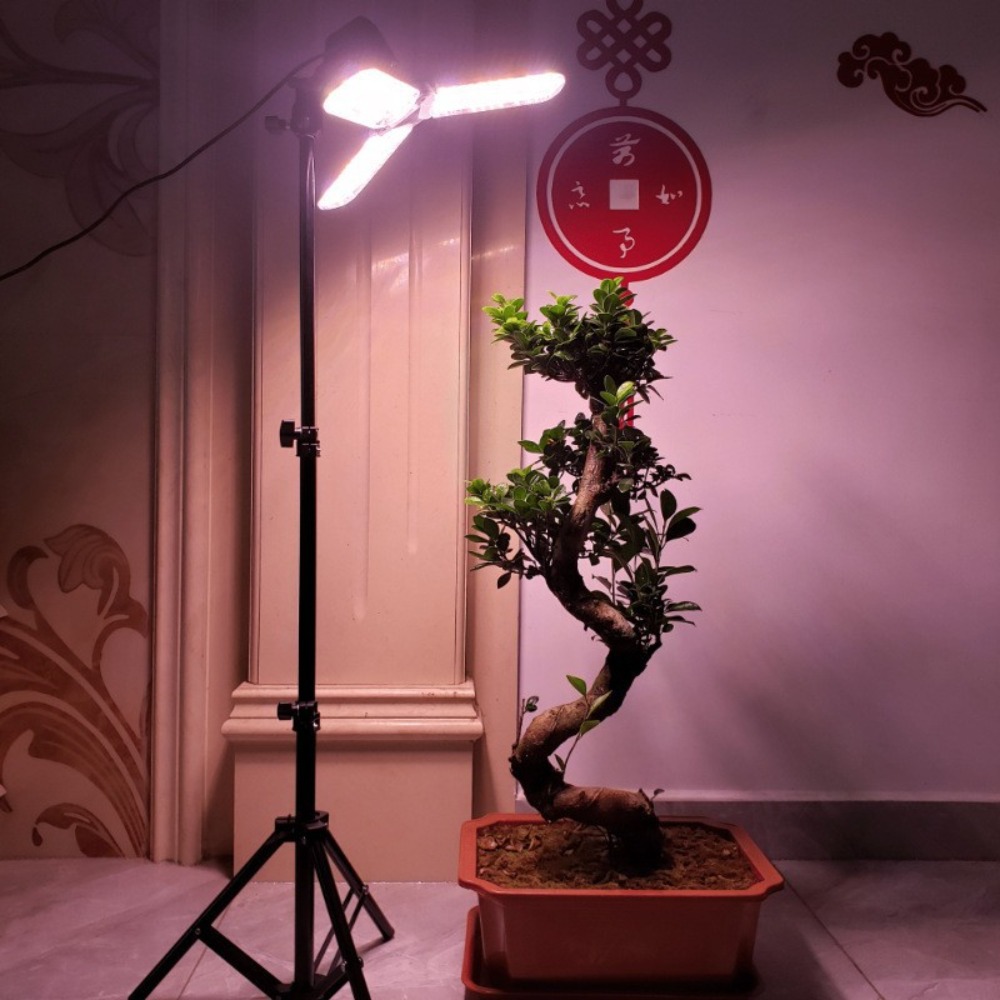 حامل لمبة الضوء 2 متر، مقبس تي - مراجعة Photography Umbrella Lights وسعره